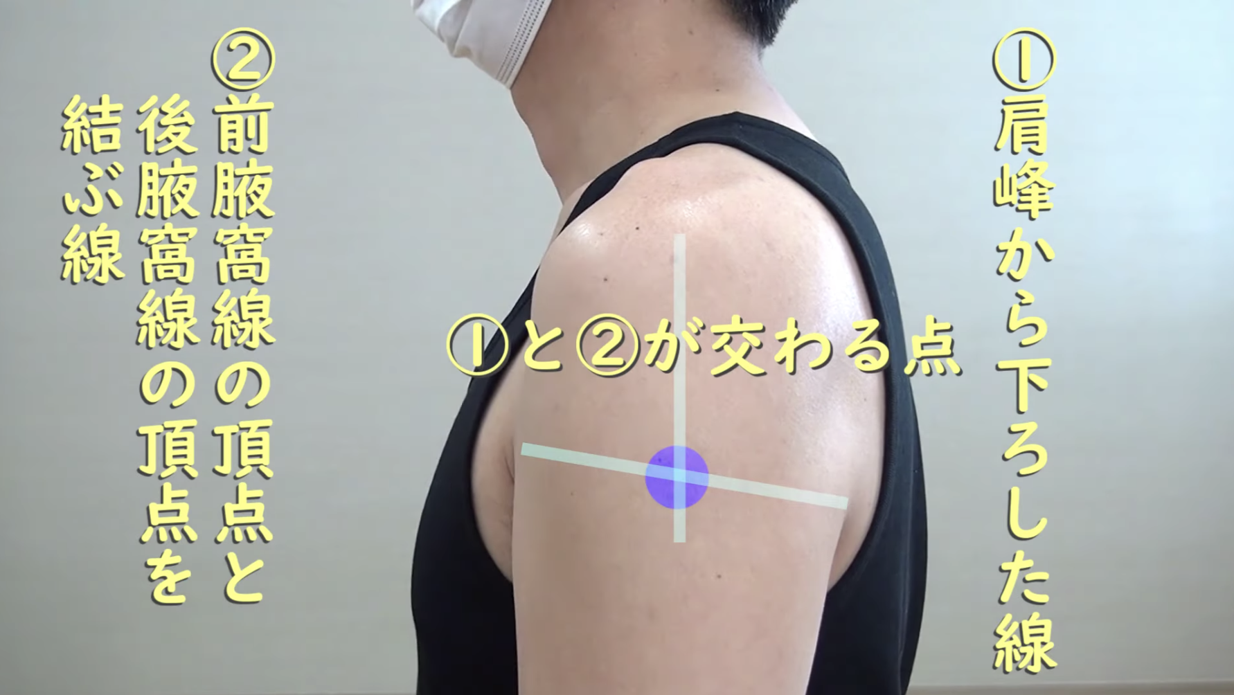 筋肉注射について | 大田区久が原の内科・小児科｜久が原ファミリー