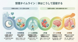 禁煙の長期メリット