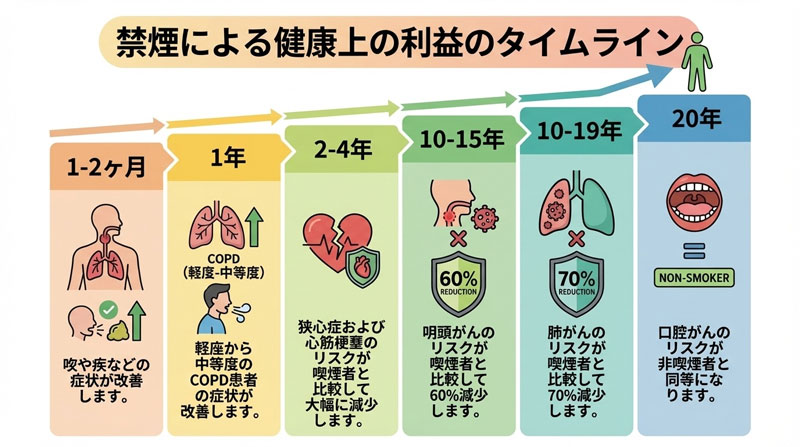 禁煙による健康上の利益のタイムライン